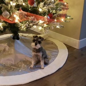 Meet your Posher, Geneise